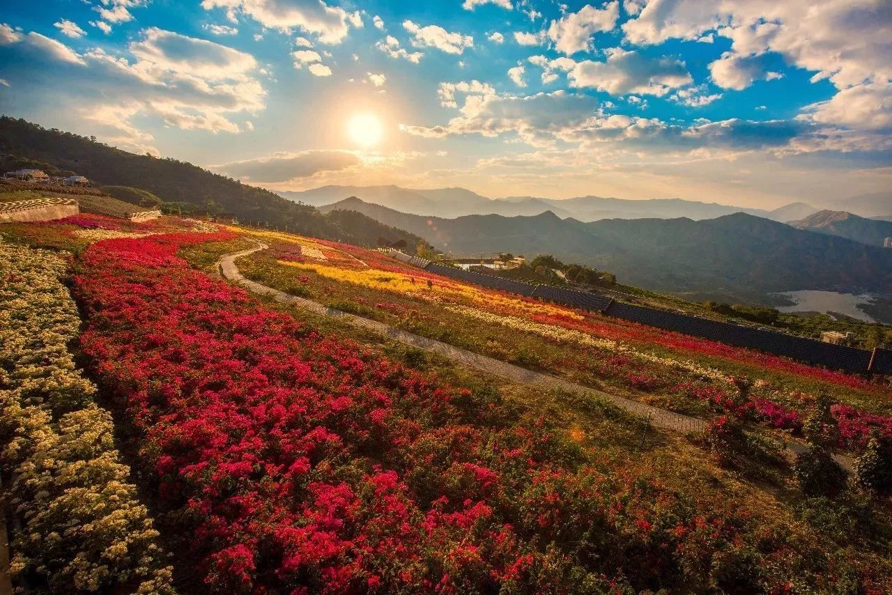 阿署达花舞人间景区.