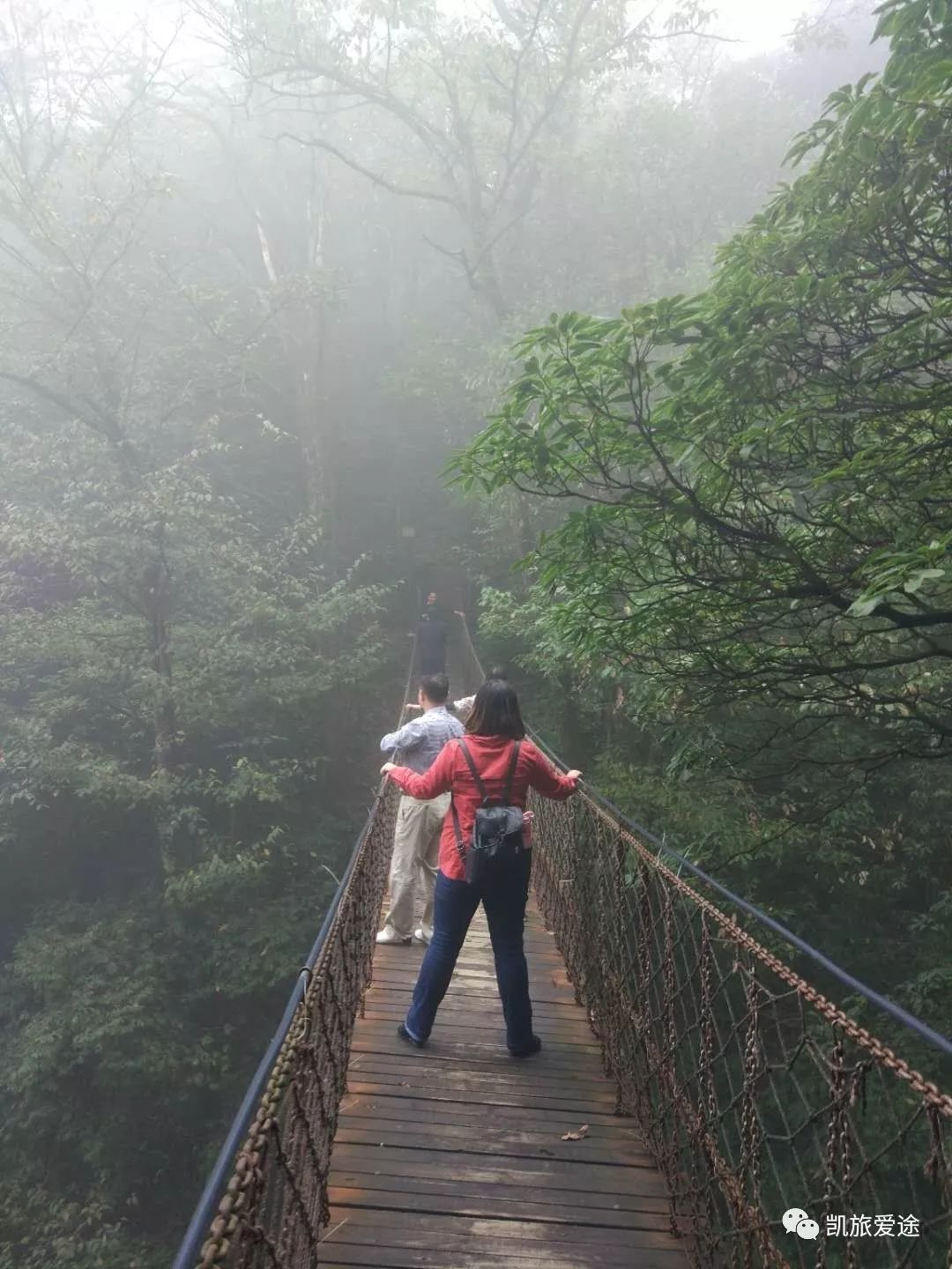 恩施咸丰坪坝营原始生态旅游区门票价格及接送服务