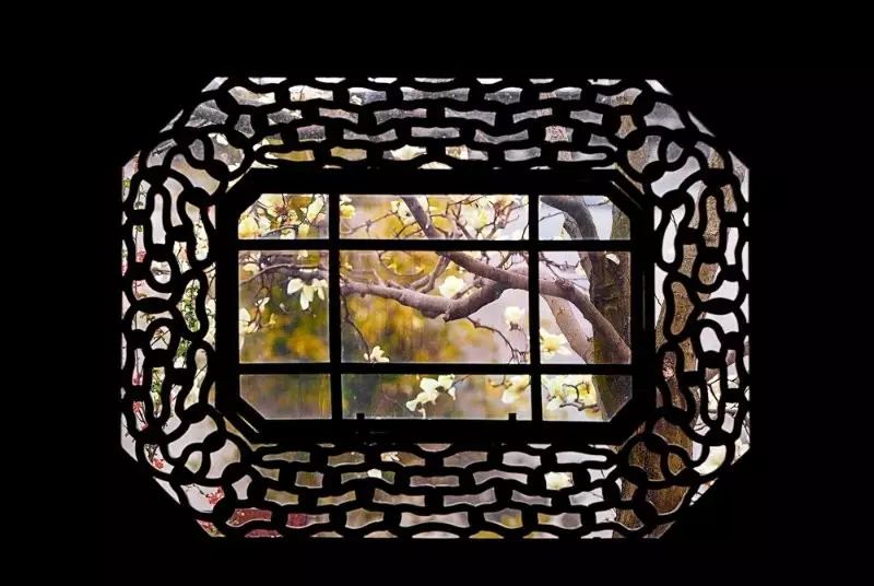 园林花窗志 | 原来你们最爱的花窗是这样.