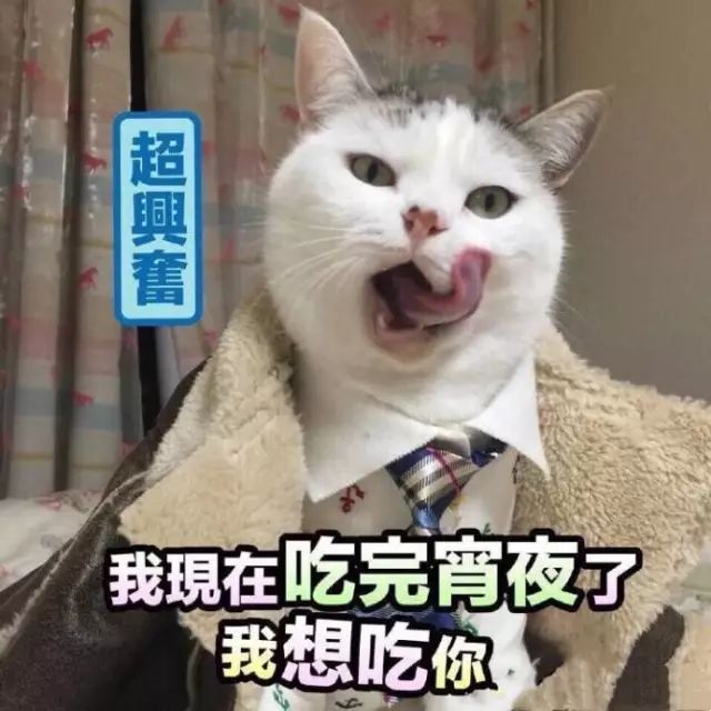 你连表情包里猫的名字都不知道,还敢说爱猫?