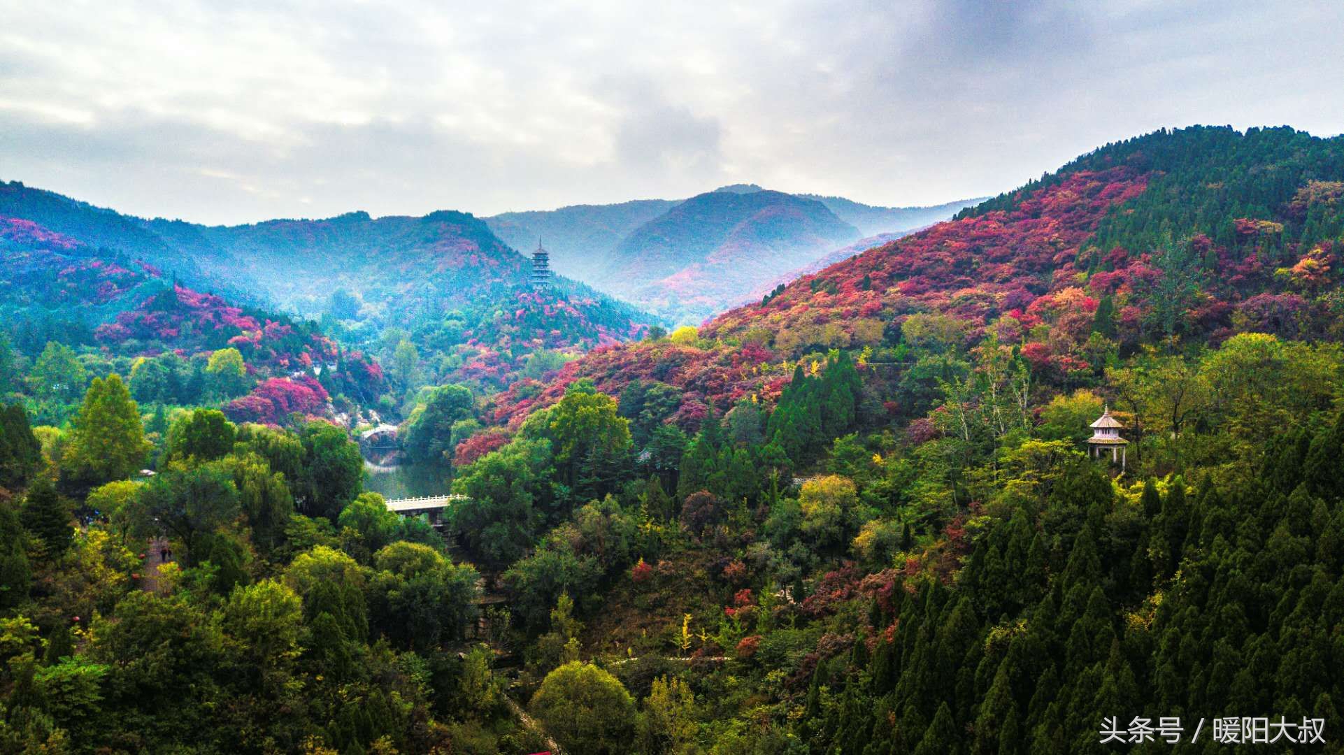 济南南部山区漫山红遍你还等什么