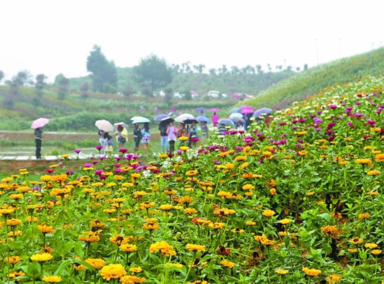 【聚焦盘州】厉害了!门票无限送!沙淤景区首届稻草人