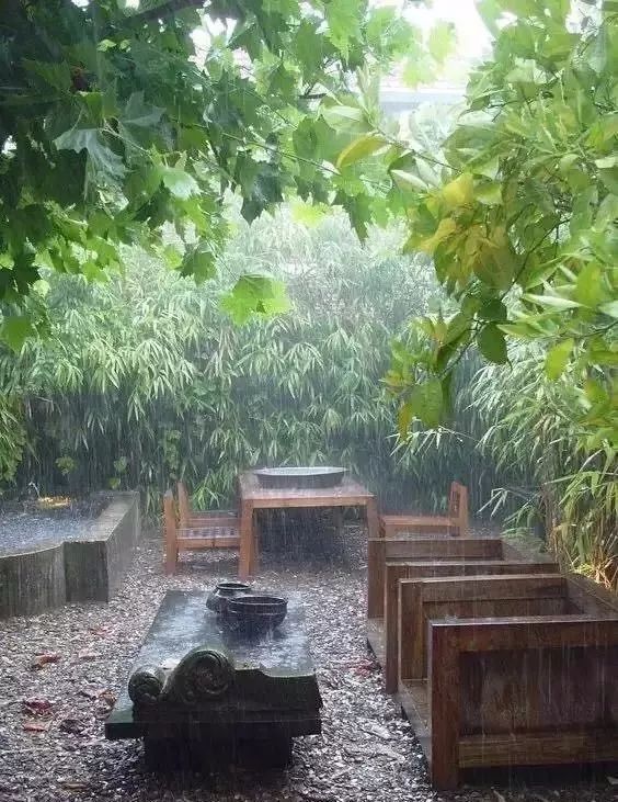 最美的不是雨天,是曾与你一起躲过雨的庭院.