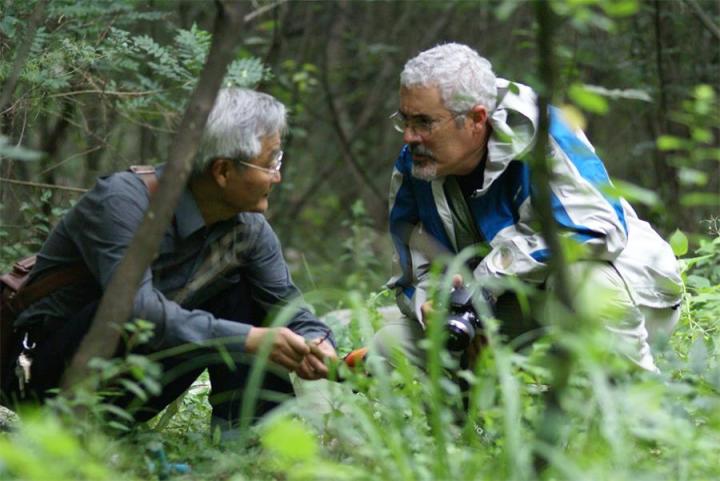 (李增智教授与美国虫草分类学家spatafora在广西采集虫草)政府高度