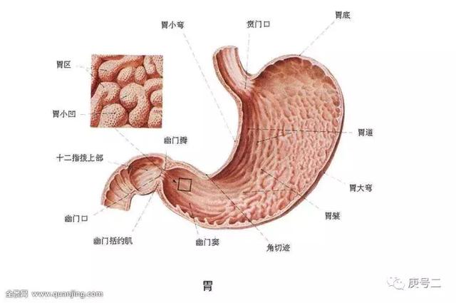 当心引发胃食管反流症