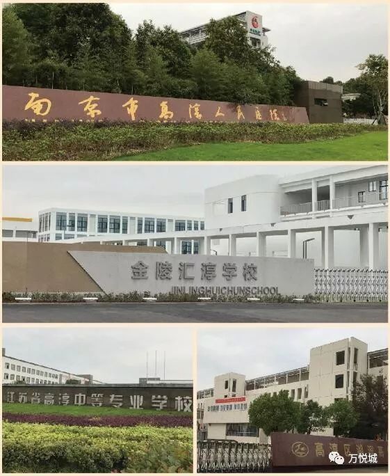 南京世界村新能源汽车产业园, 金陵汇淳学校,湖滨中学,高淳中等专业