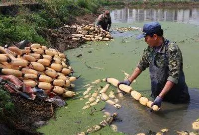 龙山总人口多少万人_保康聚龙山海拔是多少