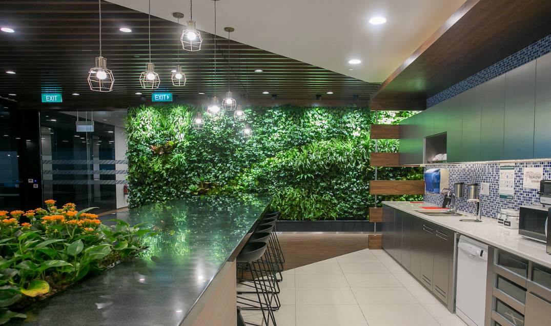 新加坡 & 中国 | 会呼吸的绿色办公空间