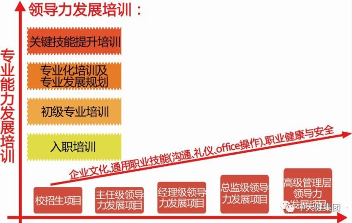 国际学校 招聘_山东淄博市爱福生国际学校招聘信息 万行教师人才网(2)