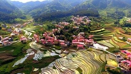 旅游 正文  湄潭县重点规划建设了 茶区,烟区,稻区,精品水果区等产业