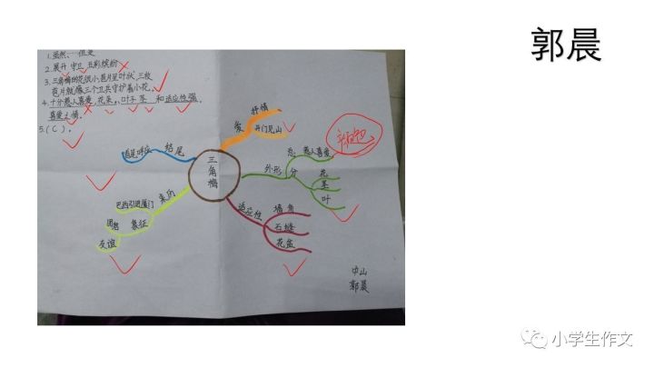 秋季思维导图作文在线课程作业展笑笑老师