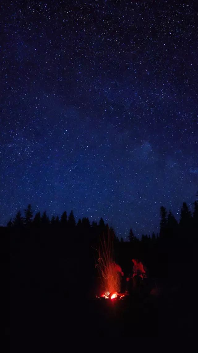 昨夜星辰简谱萨克斯_昨夜星辰电子琴简谱