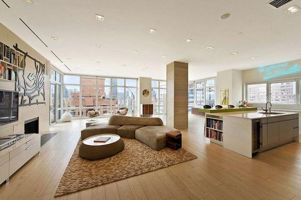 外形华丽的纽约公寓 宽敞明亮的住宅