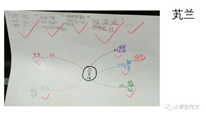秋季思维导图作文在线课程作业展笑笑老师