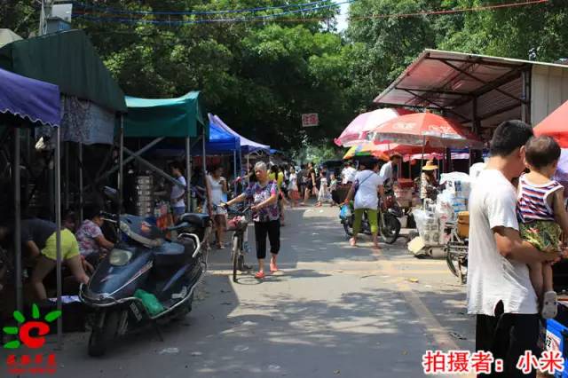 【我的村,我来拍】整村搬迁的花东镇凤凰村,面貌日新月异,村民安居