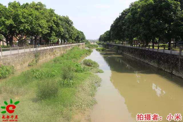 【我的村,我来拍】整村搬迁的花东镇凤凰村,面貌日新月异,村民安居