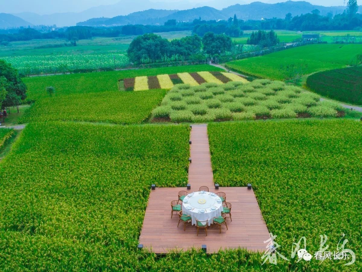 美食不在米其林餐厅里而在长乐稻田里的餐桌上