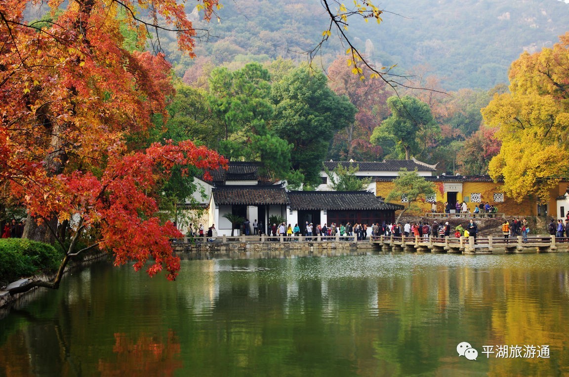 赏江南红枫-天平山景区,古山塘老街 一日游