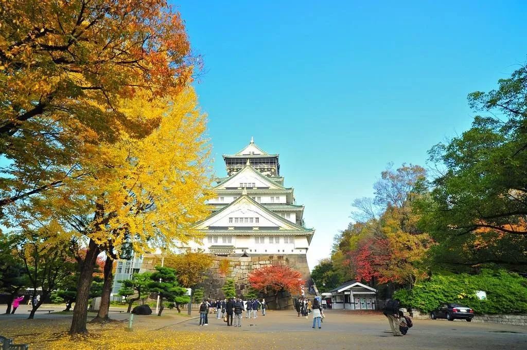 京都总人口_日本京都(2)