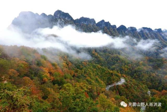 川东北南江光雾山:万山红遍,层林尽染,彩林红叶互争艳