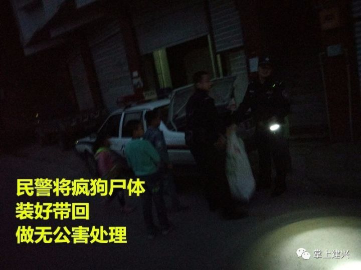 南部县建兴派出所民警,开枪数发,打死了这狗东西