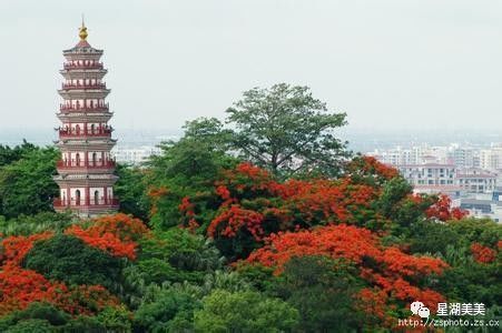 烟墩山是中山市中心城区最高的一座山头,加上植被丰富,空气清新,所以