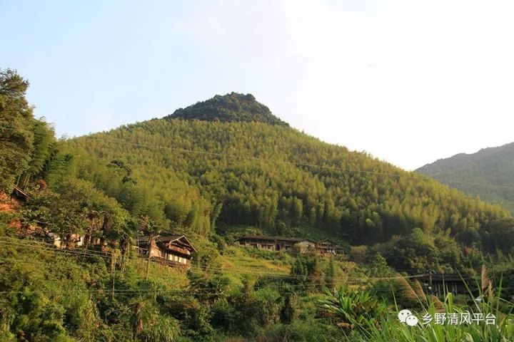 但我真的还想再去一次,做梦都想去 大地头是福建省尤溪县西滨镇