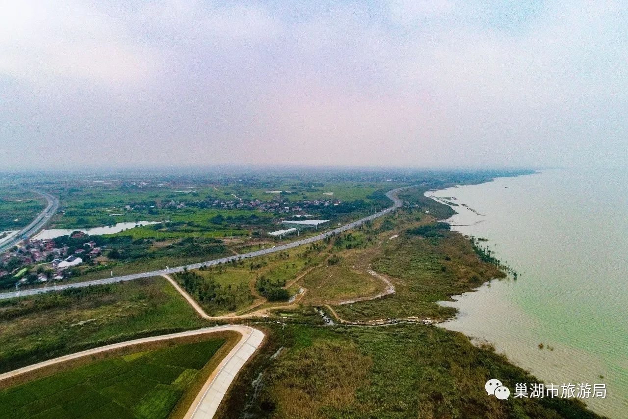 槐林湿地公园,环巢湖旅游的一道亮丽风景线!