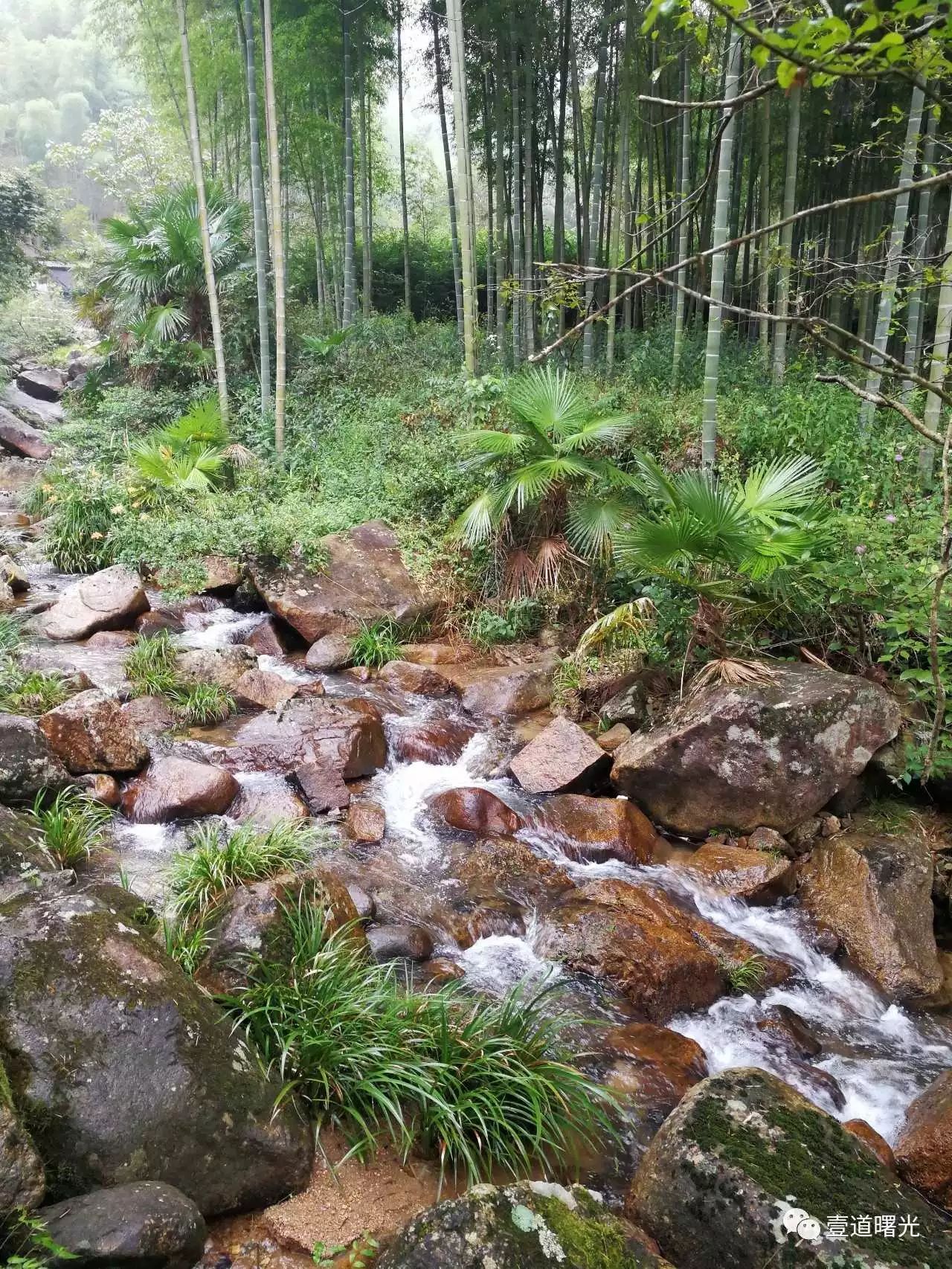 王曙光《访上杭县古田镇大吴地村》