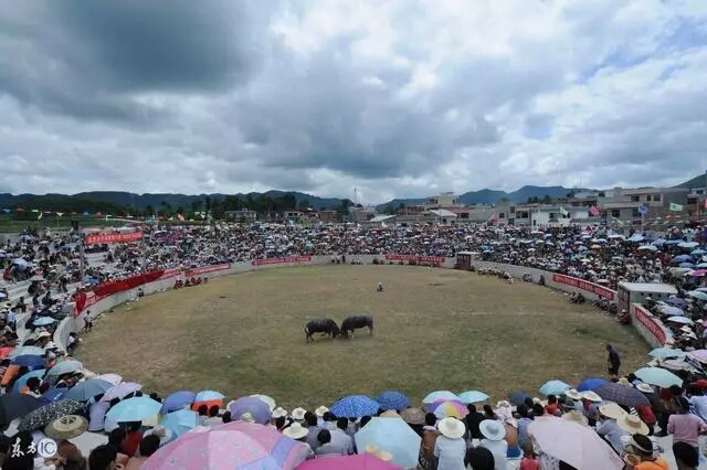 贵州羊场镇人口_贵州盘县羊场乡地图(3)