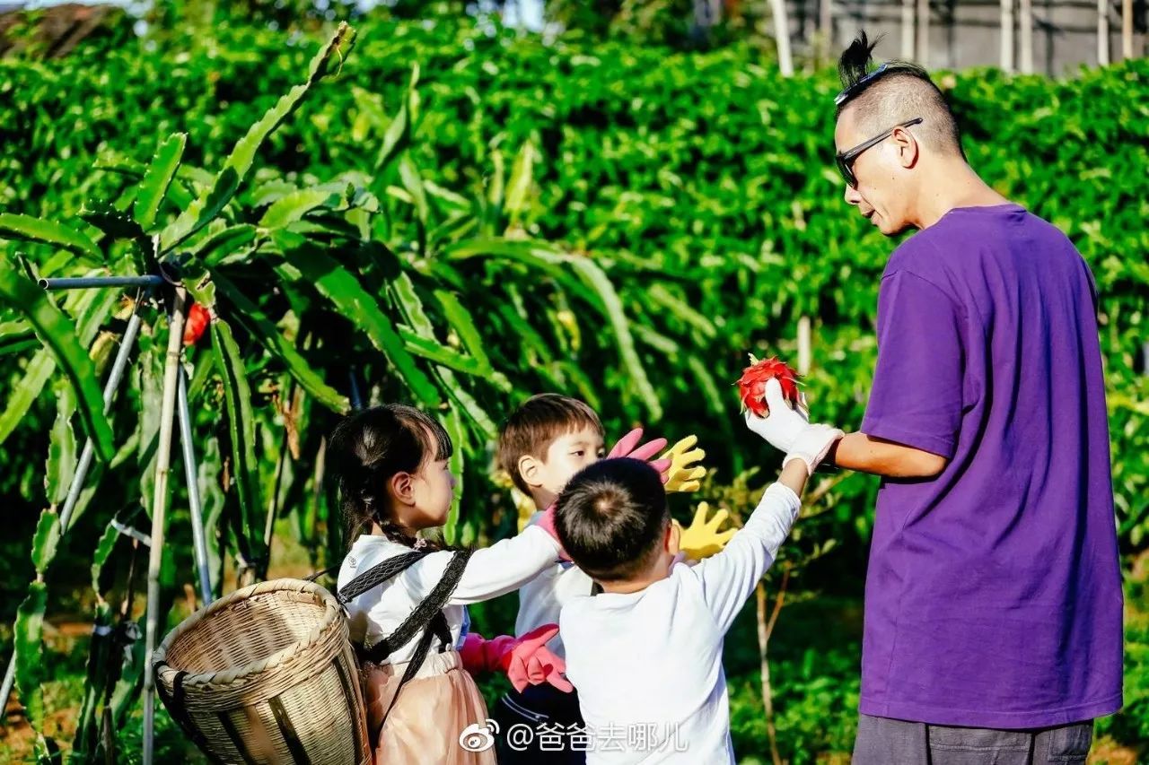 采摘自驾一日游想和小小春jasper一样嗨吃火龙果吗来一场全家采摘游吧