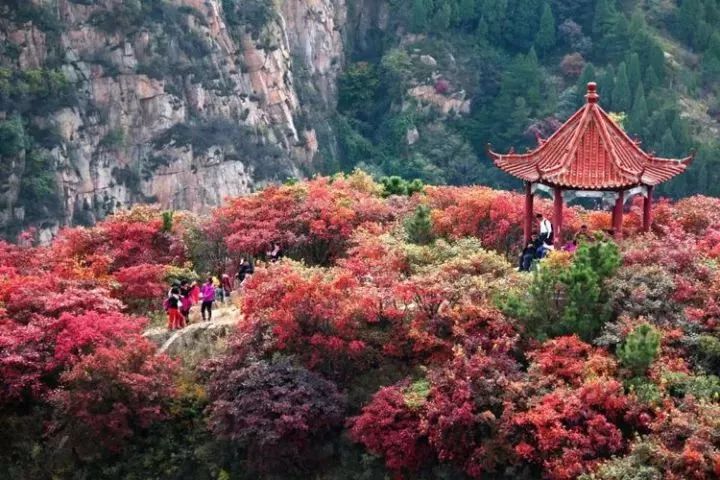 章丘区是山东省济南市的一个市辖区,位于济南市的东部,地处北纬36