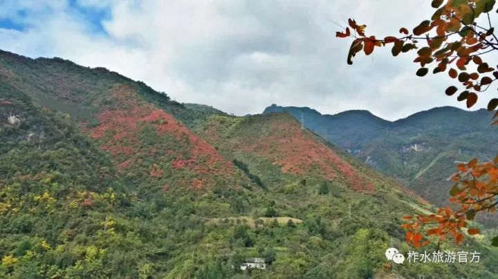 怎么搭香山_香山红叶简笔画怎么画