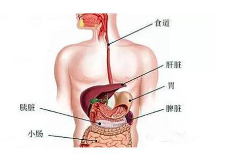 成人口水多是什么原因(2)