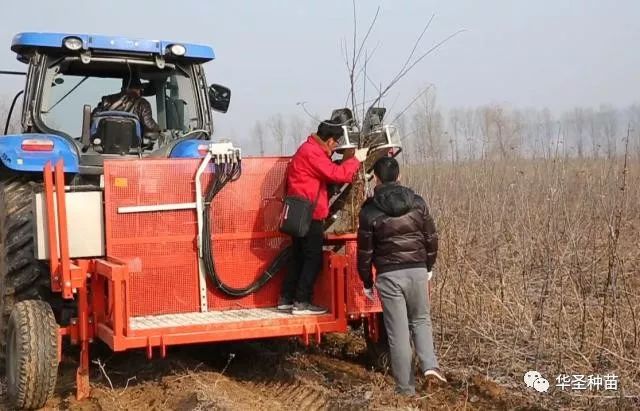 公司从欧洲引进大型苗木种植机,起苗机,苗圃专用三轮拖拉机,弥雾机等