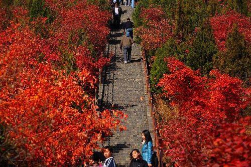 蟒山国家森林公园 是北京面积最大的国家森林公园 每逢深秋,这里的