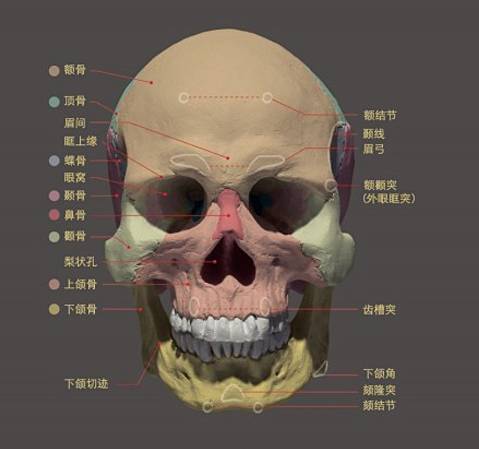 眉形设计"新三法,这才是眉毛设计的精髓所在!