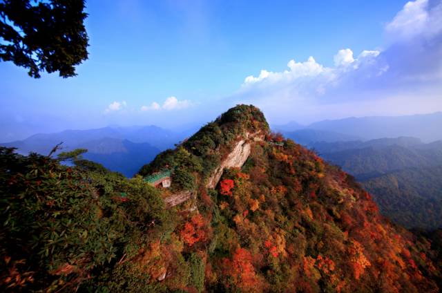 福利丨看万山红遍层林尽染光雾山红叶节门票免费送