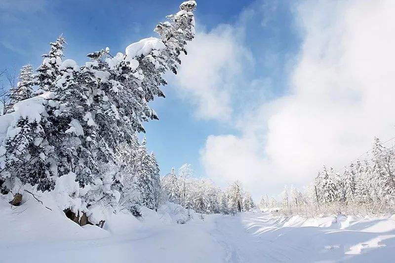 【冰雪世界】 呼伦贝尔赏一望无际雪景 漠河寻觅北极