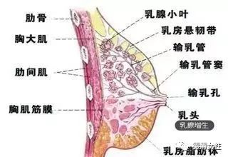 乳腺癌有哪些早期症状?