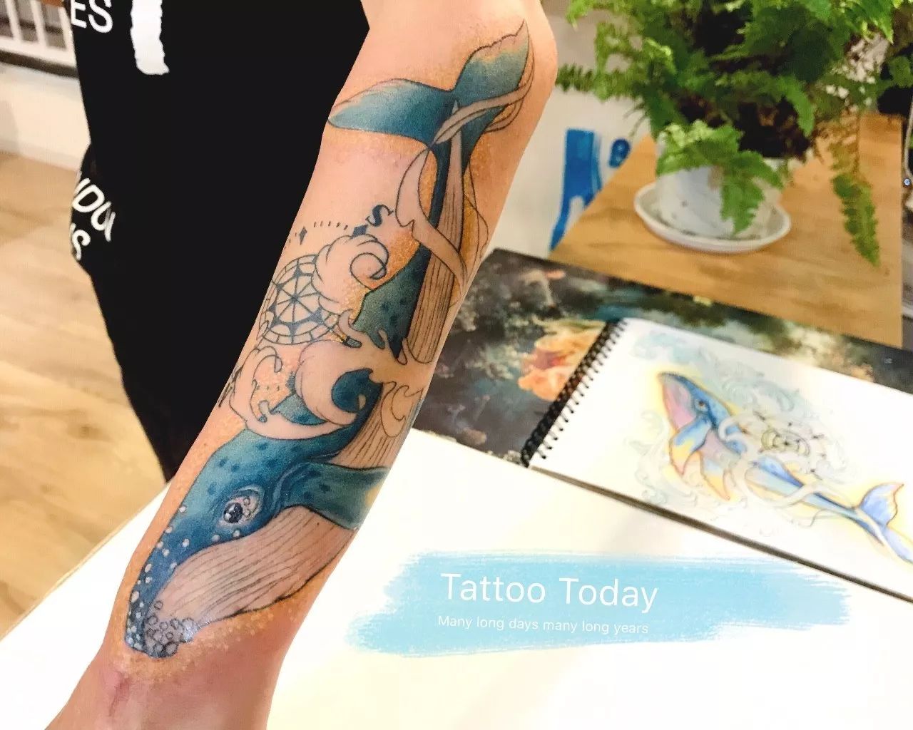 小臂小清新海浪鲸鱼纹身图案 - 济南纹彩刺青
