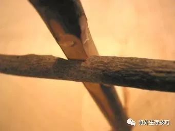 简单陷阱制作教程/全自动钓鱼陷阱