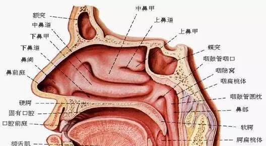 唐县这家店登陆央视了非遗传承现在还给免费试用抓紧报名啦