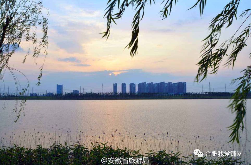 北雁湖湿地公园有人说,合肥虽然是内陆城市,但正在发展成一座以"湖"