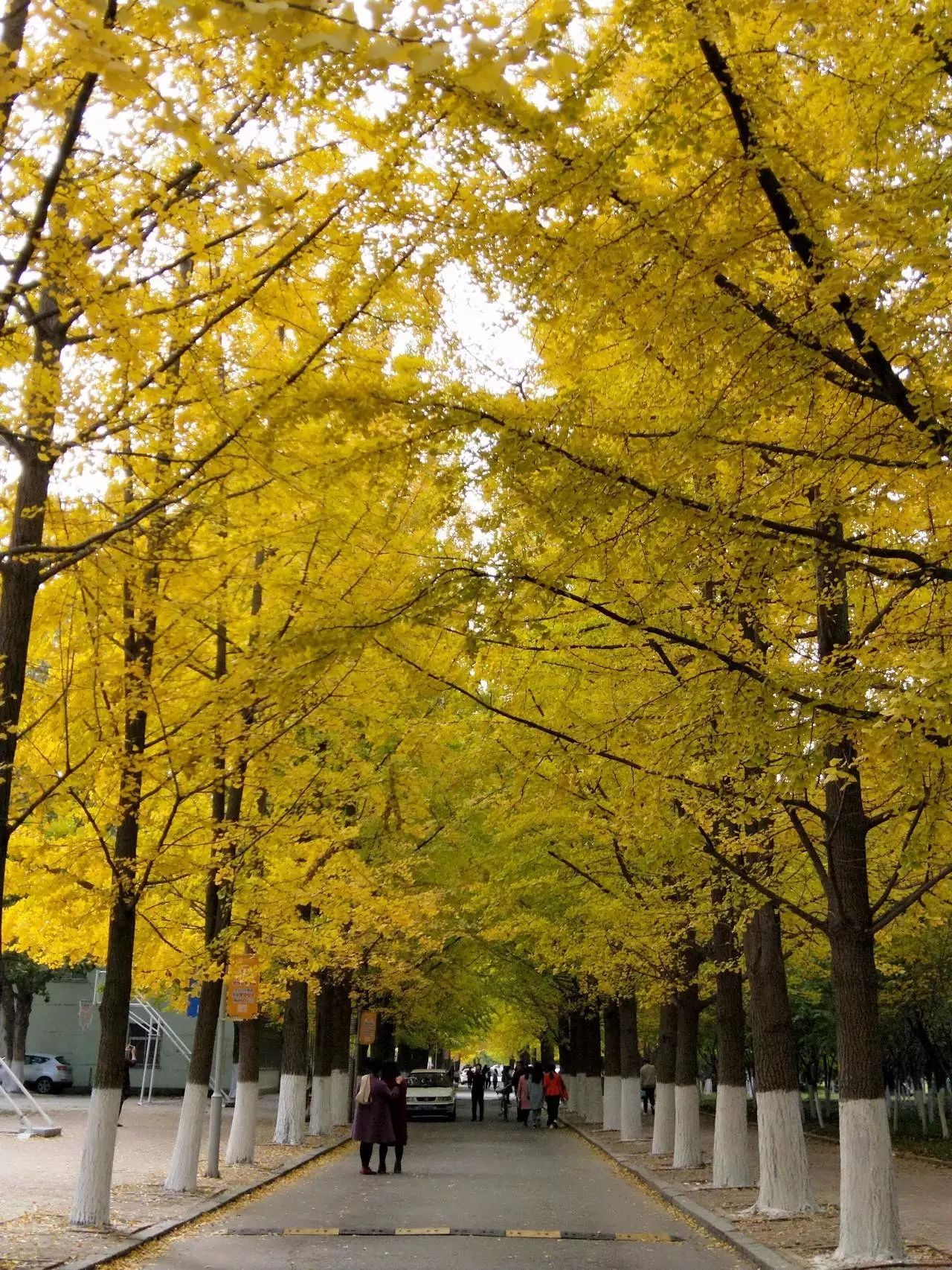 辽东学院临江校区