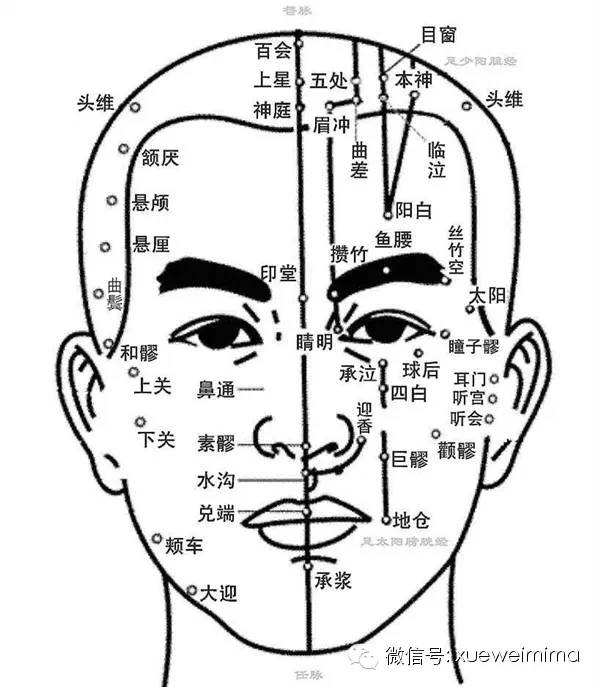 面部穴位图大全