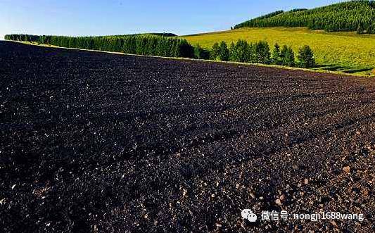 会议要求各地通过积极推进各项工作,完成到2030年使东北黑土区耕地