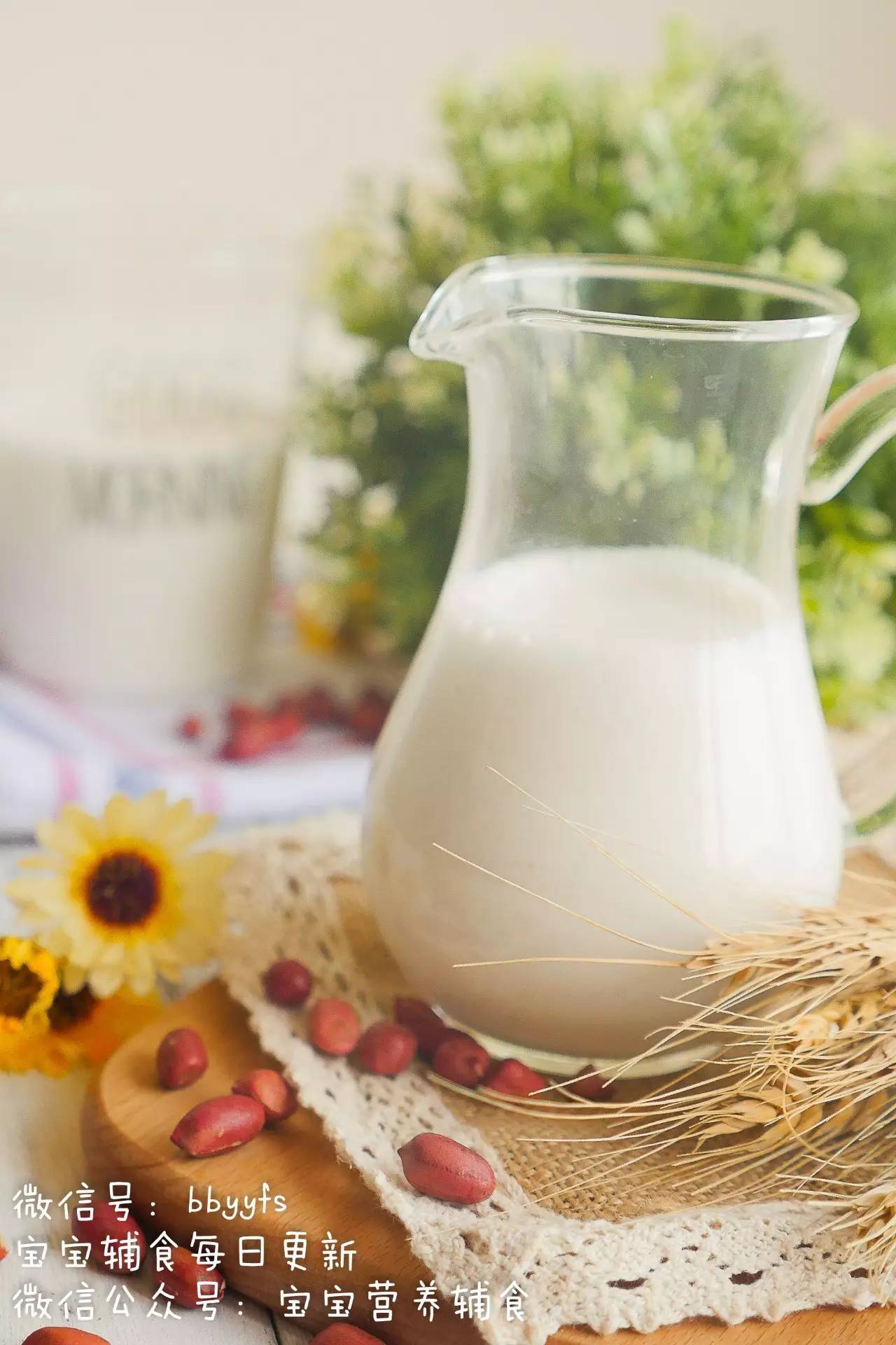 核桃乳蛋白饮品牛奶图片素材-编号35660506-图行天下