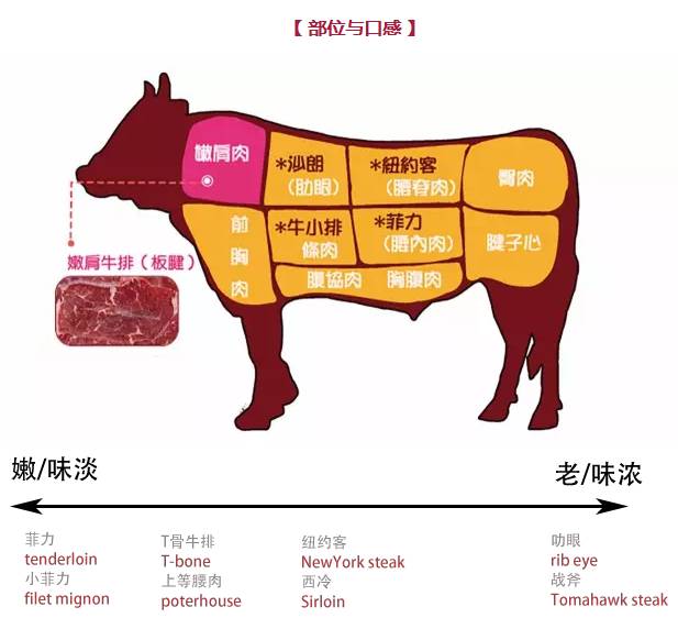 英文steak一词是牛排(或称牛扒)的统称,其种类非常多,部位不同,口感也