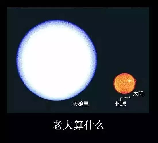 太阳这么大,那你说天狼星是地球的多少倍呢?